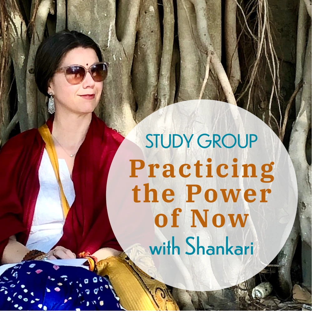 Shankari seated at the base of a large tree during a study session, part of a reflective group within London ON meditation classes.
