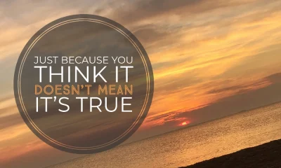 b1d58cd7-4f35-4b9a-8328-65ab6e6585fb (1)